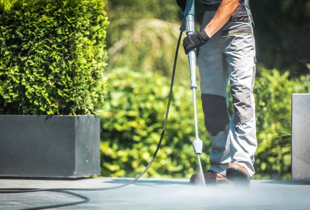 Best Driveway Cleaning and Restoration in Clinton, MO